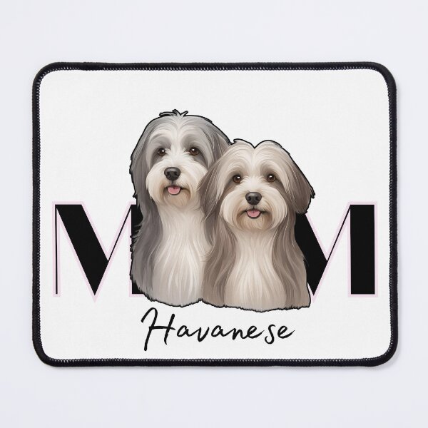 Item preview, Minimalistic Aesthetic Dog Mom of two Havanese Dog designed and sold by GoodyPaws.