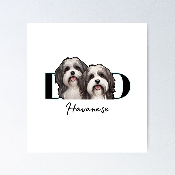 Item preview,  Minimalistic Aesthetic Dog Dad of two Havanese Dog  designed and sold by GoodyPaws.