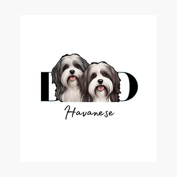 Item preview,  Minimalistic Aesthetic Dog Dad of two Havanese Dog  designed and sold by GoodyPaws.