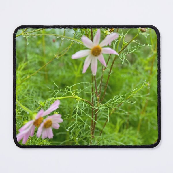 Item preview, Nature designed and sold by Chupcha.