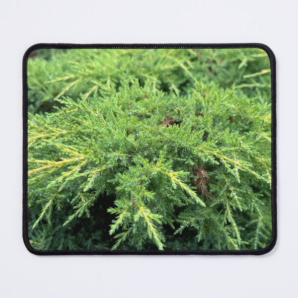Item preview, Naturaleza designed and sold by Chupcha.