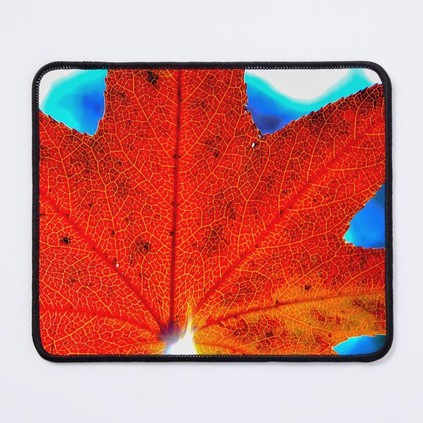 Item preview, maple leaf found on trail during sunset designed and sold by Kenneth  Gunn.