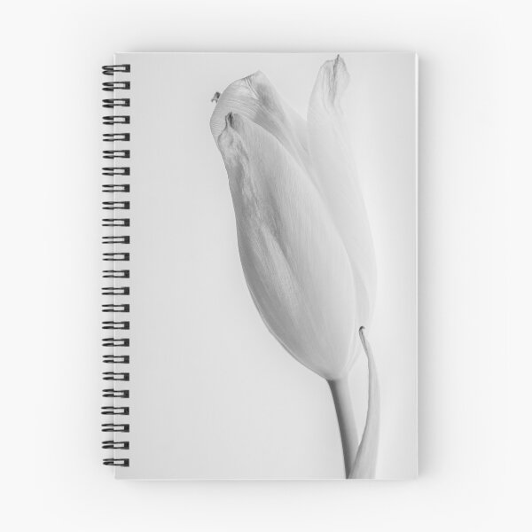 Item preview, Tulip, pure designed and sold by DerLaden.Art.