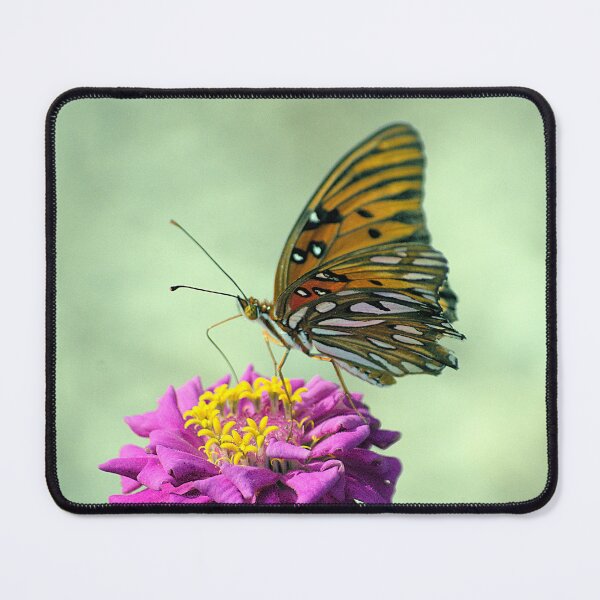 Item preview, Passion Butterfly On a Zinnia designed and sold by MercerImages.