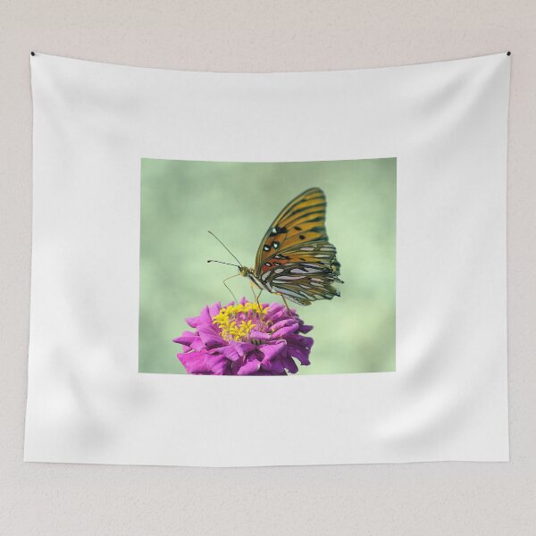 Item preview, Passion Butterfly On a Zinnia designed and sold by MercerImages.
