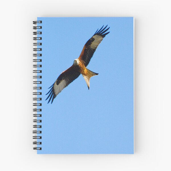 Item preview, Red kite hunting designed and sold by keithmilligan.
