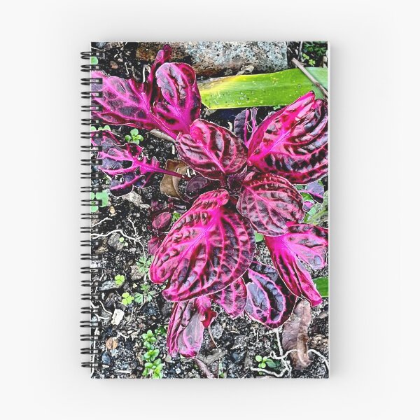 Item preview, Red &  Pink Plant designed and sold by KazM.