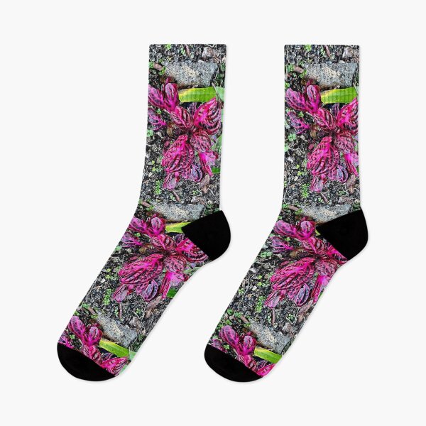 Item preview, Red &  Pink Plant designed and sold by KazM.