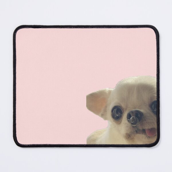 Item preview, Snot bubble chihuahua  designed and sold by Ratcatdoggg.
