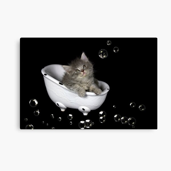 Dusty in the Tub Canvas Print