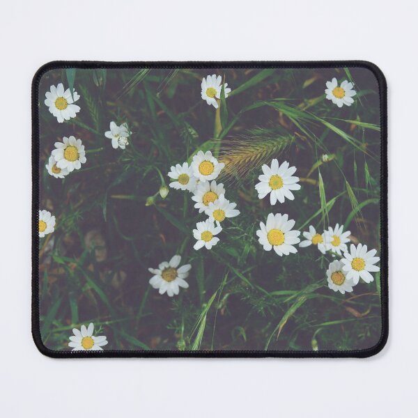 Item preview, Small Daisy Flowers in Botanical Photography of Muted Hues designed and sold by CarolinaReina.