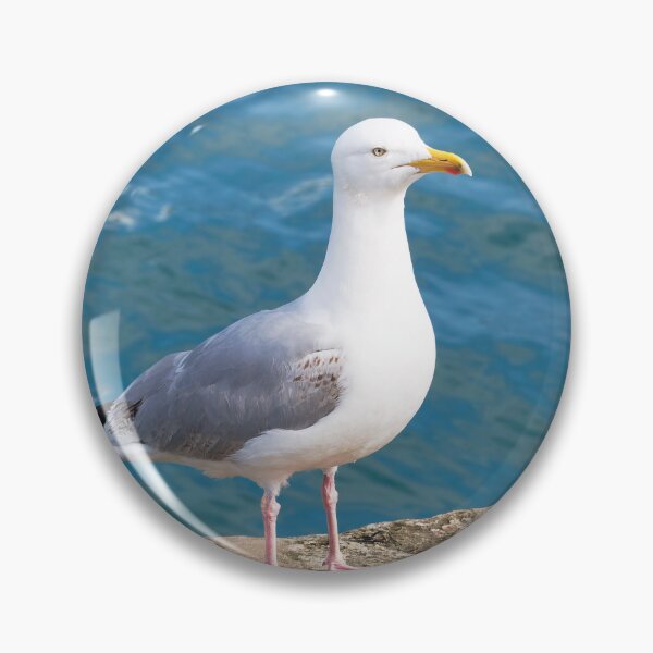Item preview, Herring Gull - Larus argentatus designed and sold by Dorset Girl.