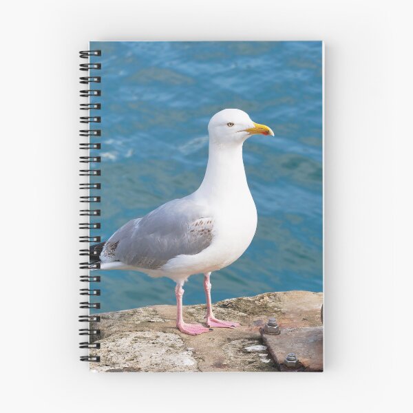Item preview, Herring Gull - Larus argentatus designed and sold by Dorset Girl.