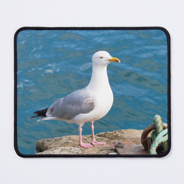 Item preview, Herring Gull - Larus argentatus designed and sold by Dorset Girl.