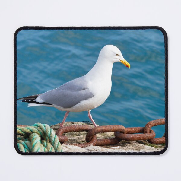 Item preview, Herring Gull - Larus argentatus designed and sold by Dorset Girl.