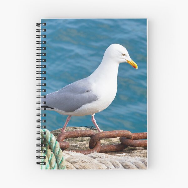 Item preview, Herring Gull - Larus argentatus designed and sold by Dorset Girl.