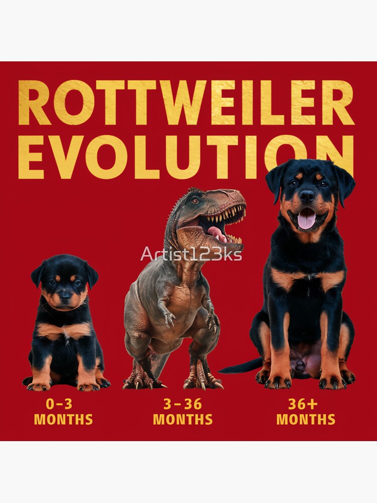 Rvengers Rottweiler T Shirt - Rottweiler Mother's Day Gift Rvengers Rottweiler T Shirt - Rottweiler Mother's Day Gift