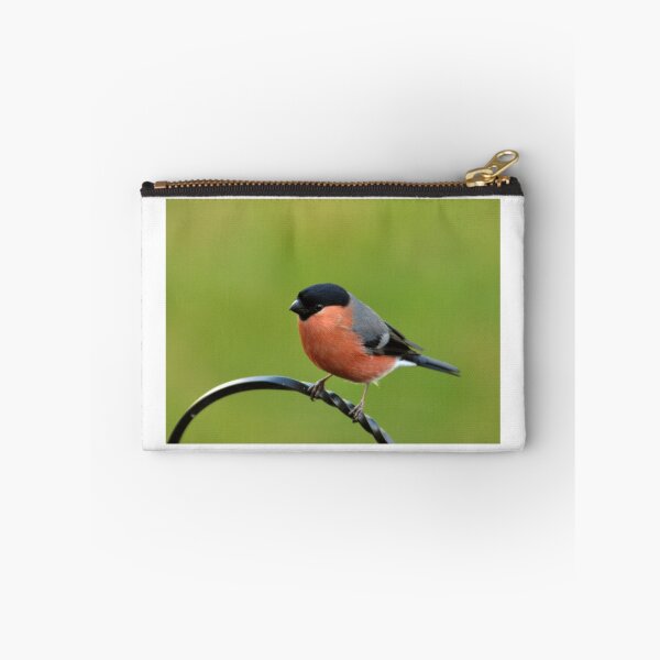 Item preview, Bullfinch (Pyrrhula pyrrhula) designed and sold by Chris Monks.
