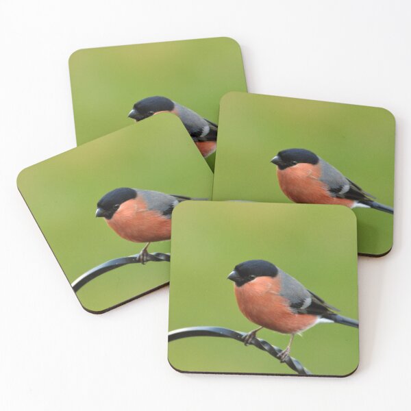Item preview, Bullfinch (Pyrrhula pyrrhula) designed and sold by Chris Monks.