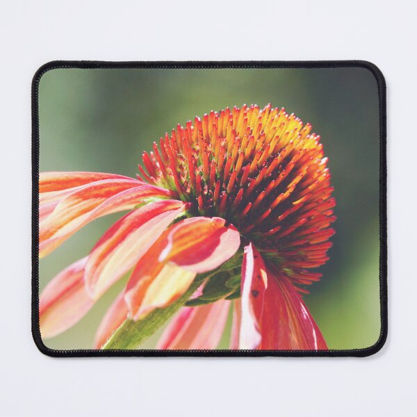 Item preview, Soft Red Coneflower Close-Up - Botanical Grace designed and sold by CarolinaReina.