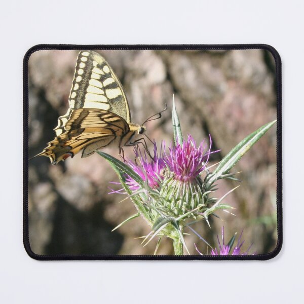 Item preview, Scarce Swallowtail Butterfly and Thistle designed and sold by taiche.