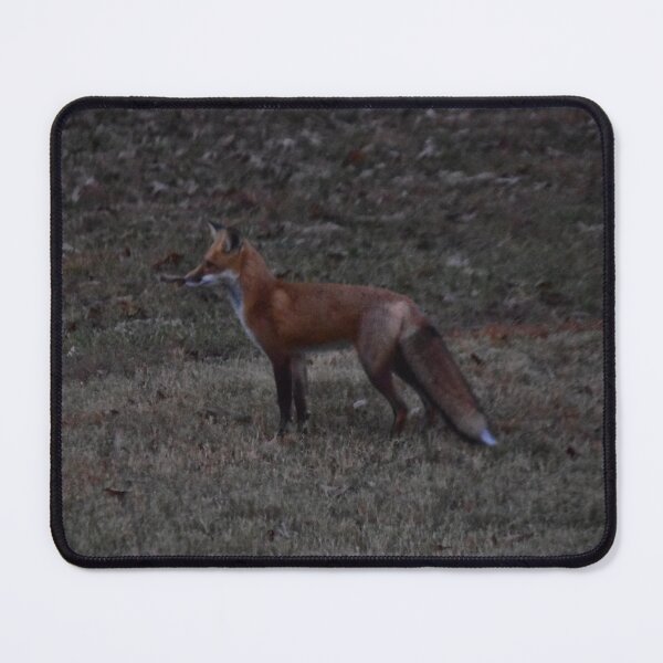 Item preview, Wild Fox designed and sold by CAPTAINxGP.