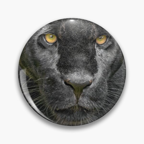 Item preview, Black Jaguar "Inka" designed and sold by Ian Lane.