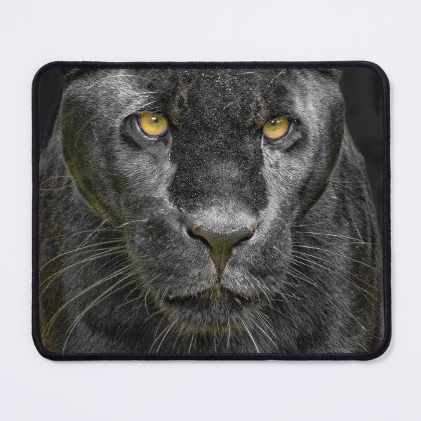 Item preview, Black Jaguar "Inka" designed and sold by Ian Lane.