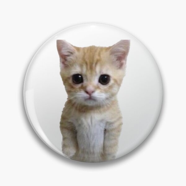 Item preview, Awkward standing kitten designed and sold by Ratcatdoggg.