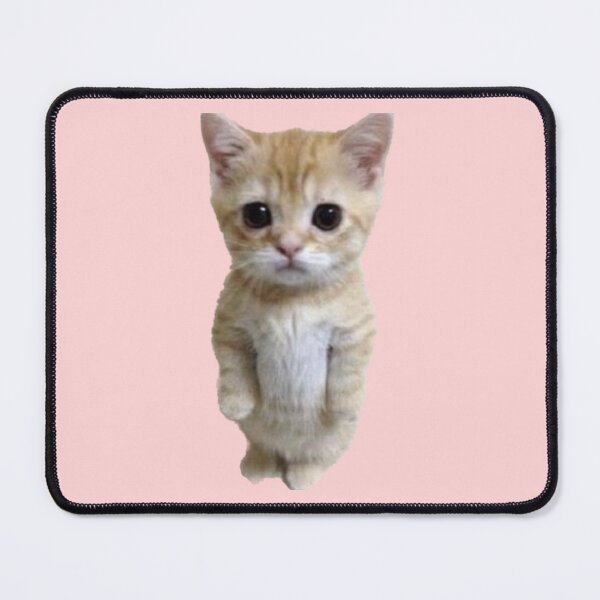 Item preview, Awkward standing kitten designed and sold by Ratcatdoggg.