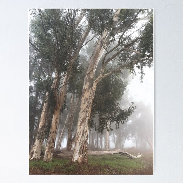 Item preview, Misty morning designed and sold by Blissfully-MK.