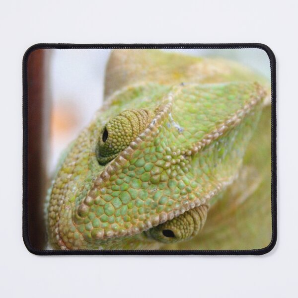 Item preview, Out Of This World Chameleon Green Close Up designed and sold by taiche.