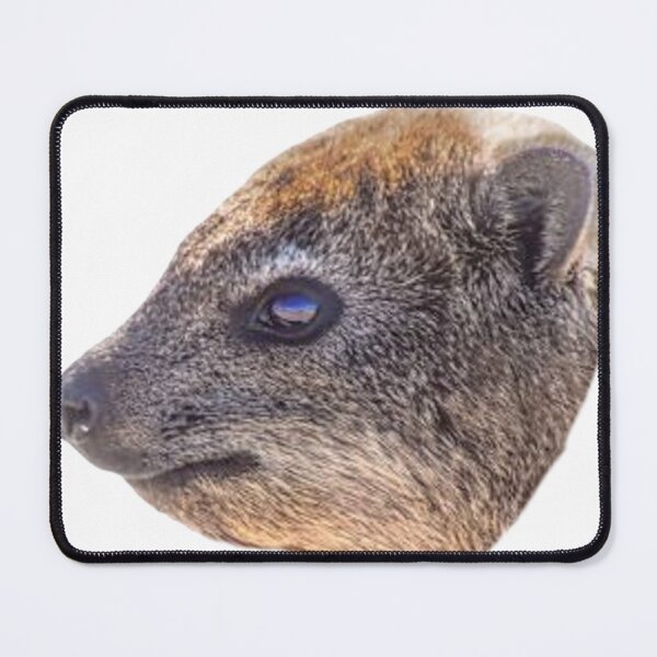 Item preview, Rock hyrax face designed and sold by SillyLittleSnek.