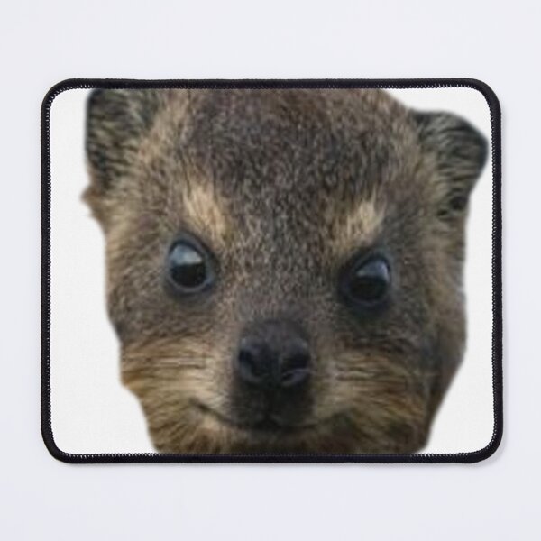 Item preview, Dassie rock hyrax face designed and sold by SillyLittleSnek.