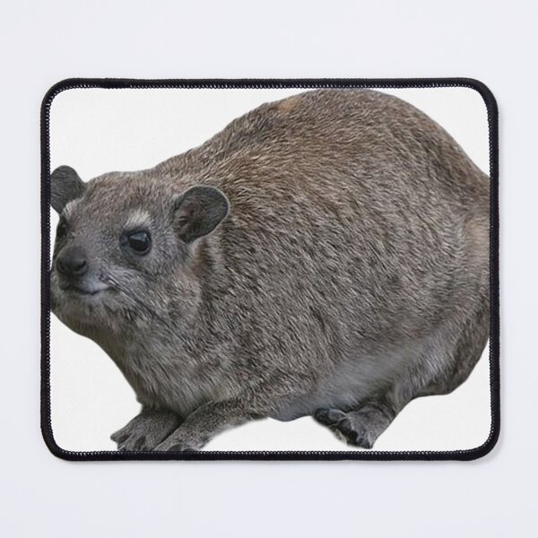 Item preview, Adorable rock hyrax designed and sold by SillyLittleSnek.