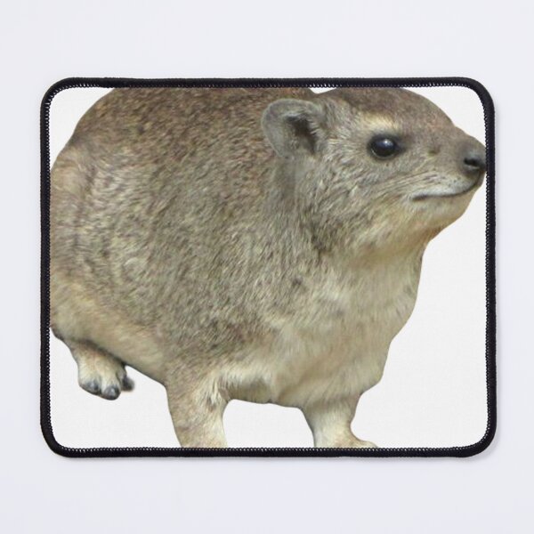 Item preview, Silly rock hyrax designed and sold by SillyLittleSnek.
