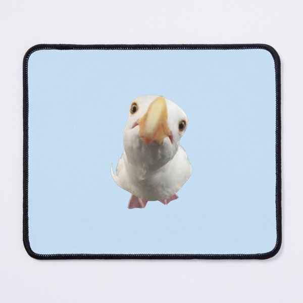 Item preview, Staring seagull  designed and sold by Ratcatdoggg.