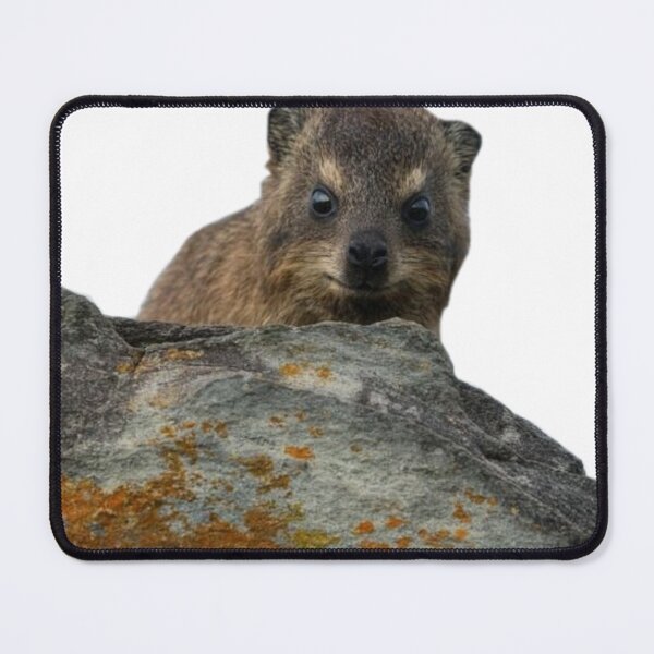 Item preview, Hiding rock hyrax  designed and sold by SillyLittleSnek.