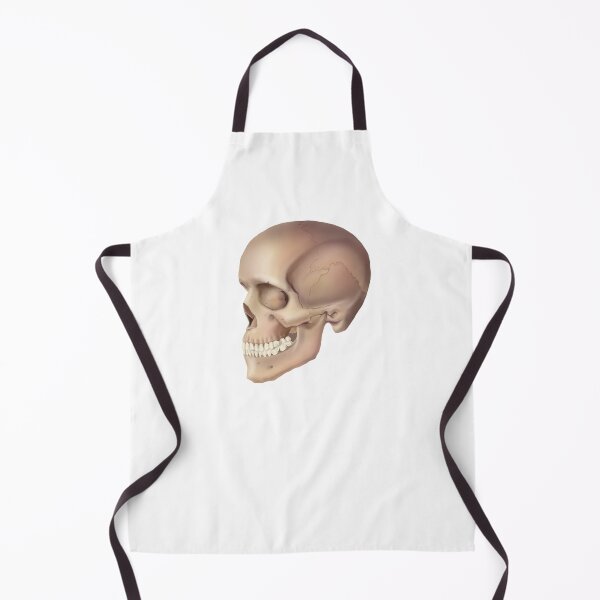 Item preview, Anatomical Skull designed and sold by cre8tive-liv.