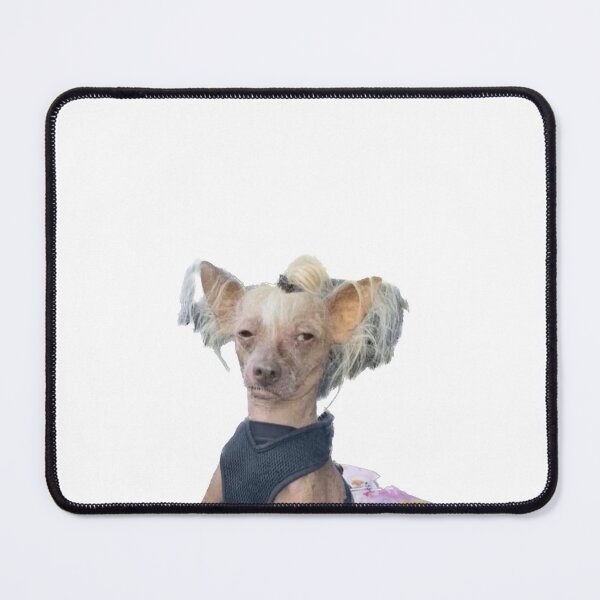 Item preview, Tired dog designed and sold by Ratcatdoggg.