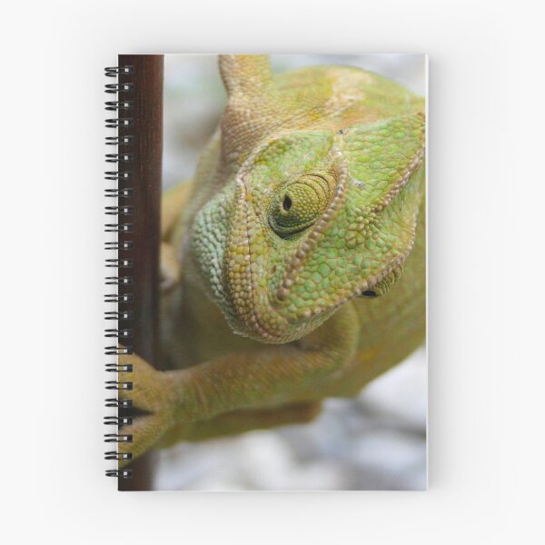 Item preview, Chameleon Climbing A Door designed and sold by taiche.
