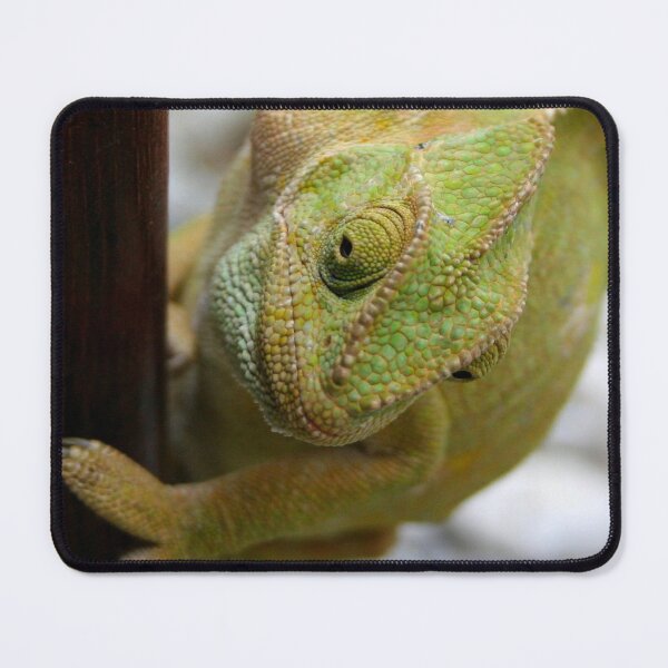 Item preview, Chameleon Climbing A Door designed and sold by taiche.