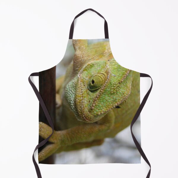 Item preview, Chameleon Climbing A Door designed and sold by taiche.