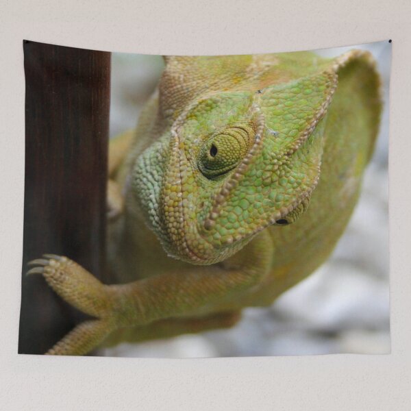 Item preview, Chameleon Climbing A Door designed and sold by taiche.