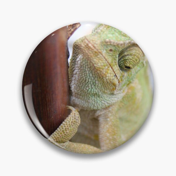 Item preview, I'm A Bit Of A Chameleon designed and sold by taiche.
