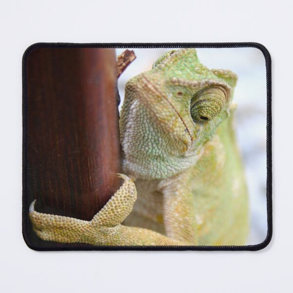 Item preview, I'm A Bit Of A Chameleon designed and sold by taiche.