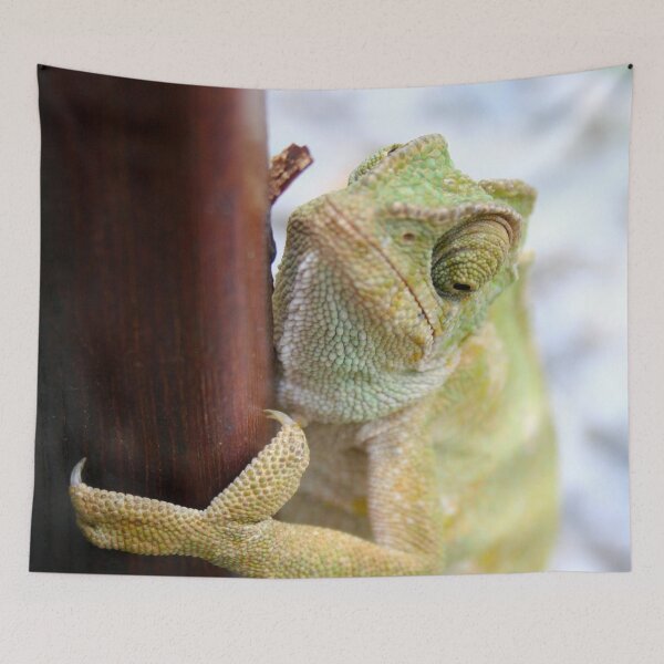 Item preview, I'm A Bit Of A Chameleon designed and sold by taiche.