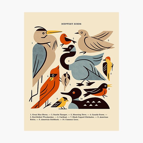 Item preview, Guide des oiseaux du Midwest designed and sold by Renea L Thull.
