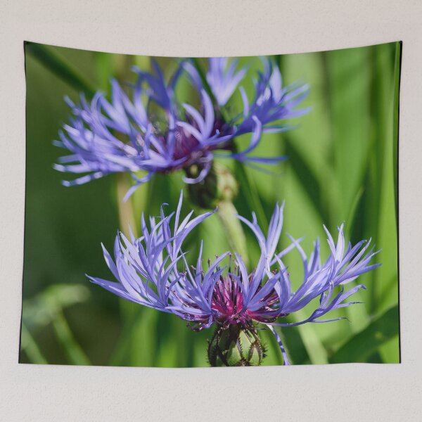 Item preview, Make it two. Mountain cornflower designed and sold by Jouko Lehto Photography.