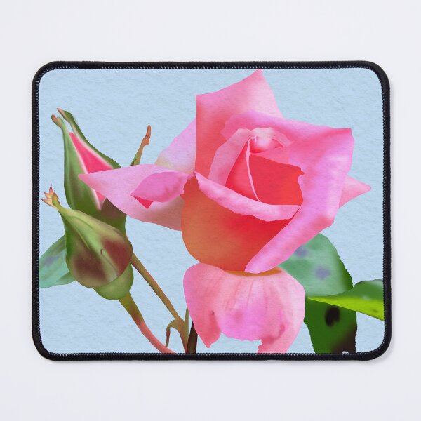 Item preview, Pink Rose with rosebuds designed and sold by arrangingclouds.